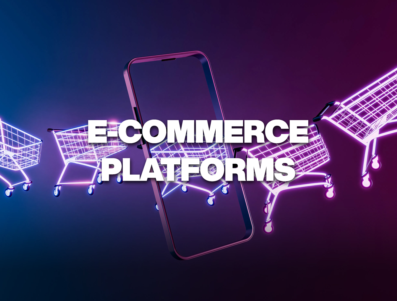 E-Commerce Platforms