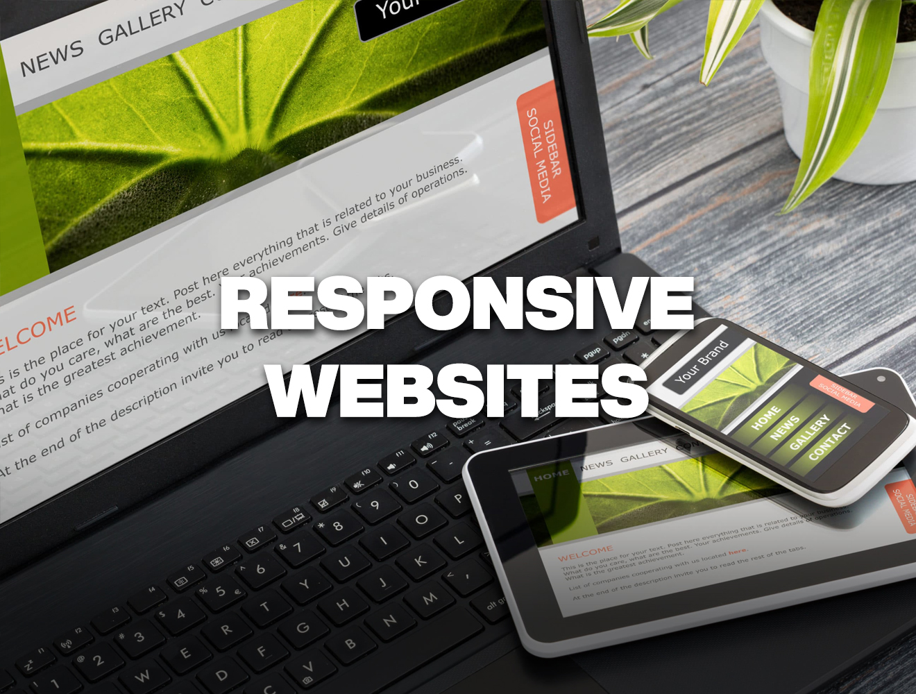 Responsive Websites